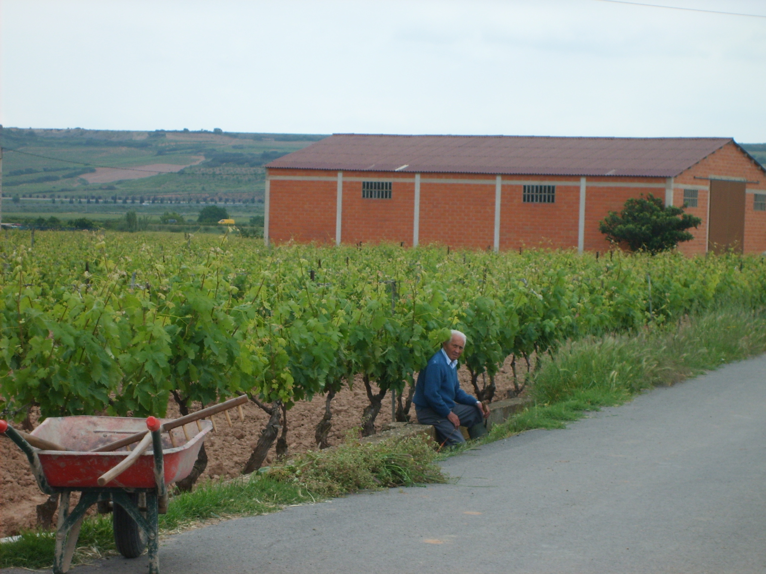 Weinbauer in der Rioja