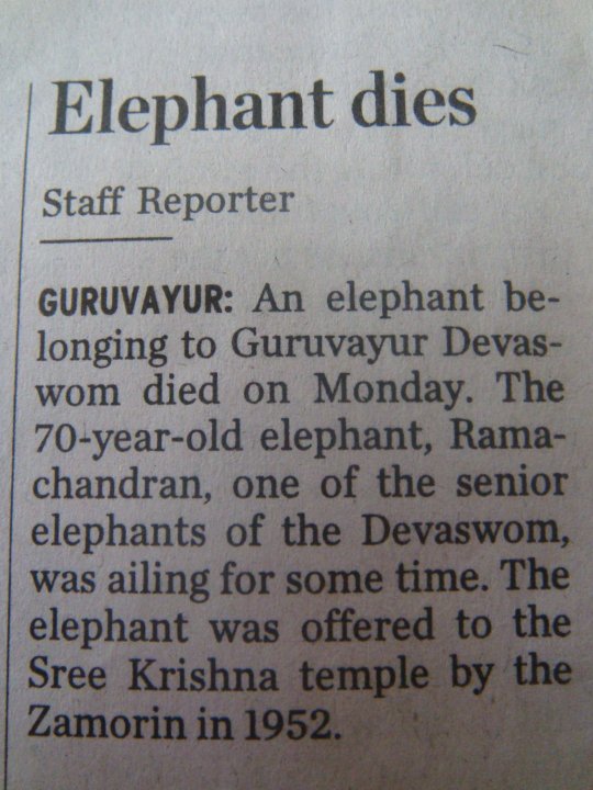 70-year-old elephant Ramachandran dies